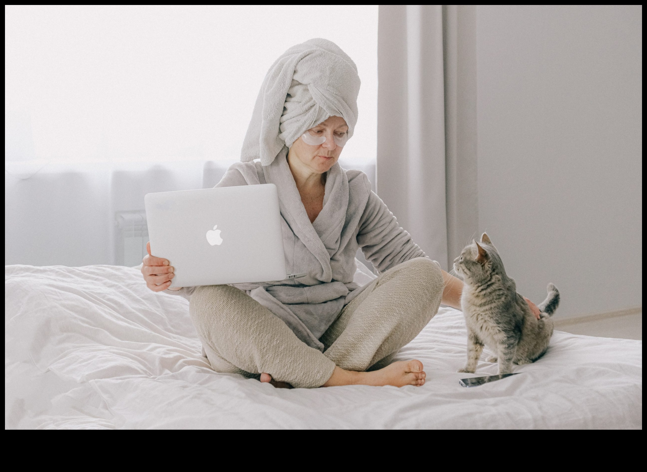 فن العناية بالقطط: دليل أنيق للعناية بالقطط