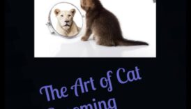 فن العناية بالقطط: دليل أنيق للعناية بالقطط