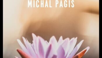 منضم إلى الداخل: كتب تحويلية عن فن التأمل