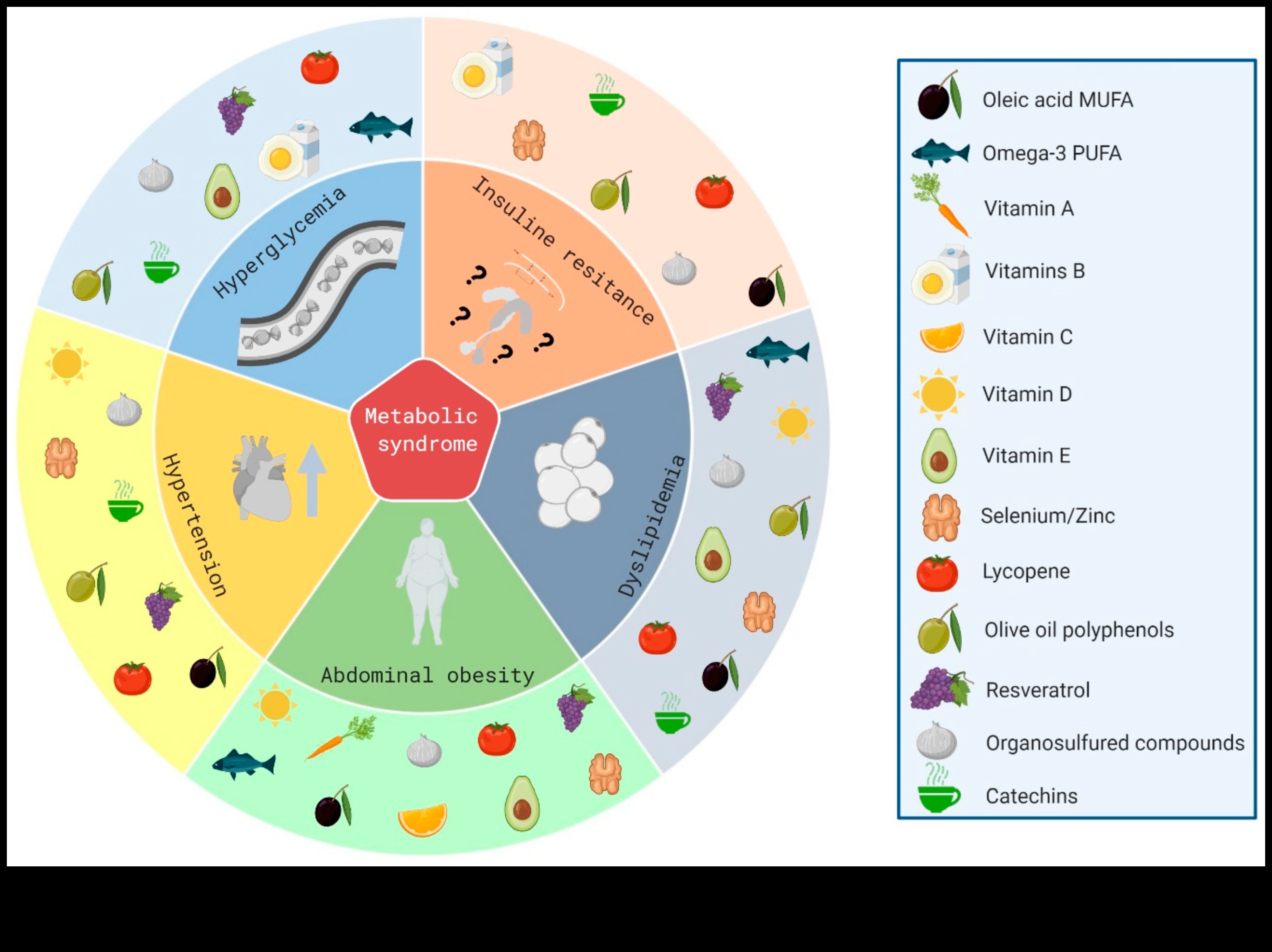 العلاقة بين المغذيات: ربط العافية والكيمياء الحيوية الغذائية