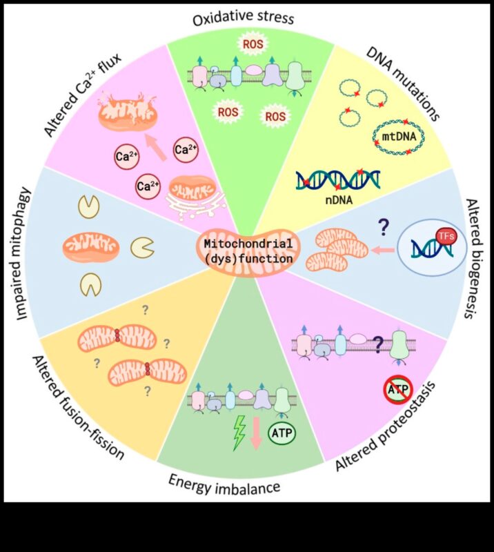 العلاقة بين المغذيات: ربط العافية والكيمياء الحيوية الغذائية