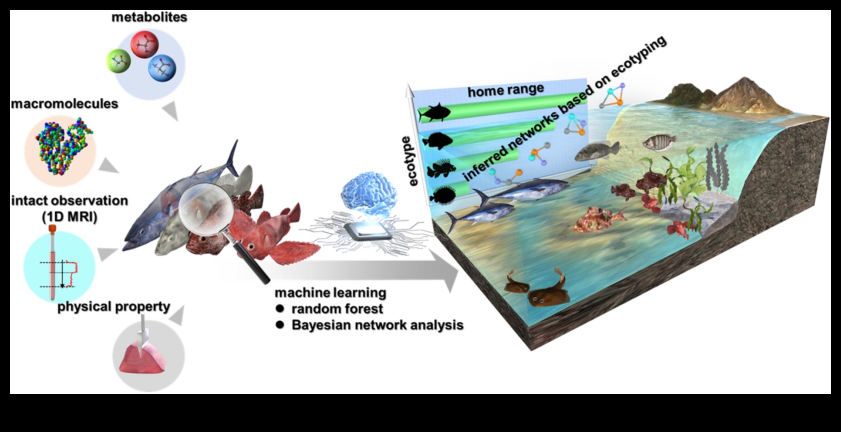 علم صيد الأسماك كيف تساهم الأسماك في النظم البيئية 4 علم صيد الأسماك 101: كيف تساهم الأسماك في النظم البيئية