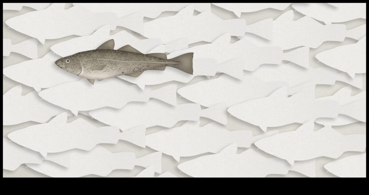 علم صيد الأسماك 101: كيف تساهم الأسماك في النظم البيئية