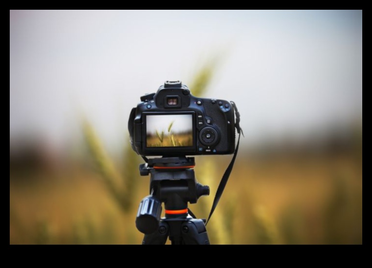 كاميرات واضحة وواضحة مع تثبيت الصورة داخل الجسم التقط صورًا ومقاطع فيديو مذهلة، حتى في الإضاءة المنخفضة أو أثناء الحركة، باستخدام الكاميرات التي تتميز بتثبيت الصورة داخل الجسم. 3 واضحة وواضحة: كاميرات مزودة بتثبيت الصورة داخل الجسم