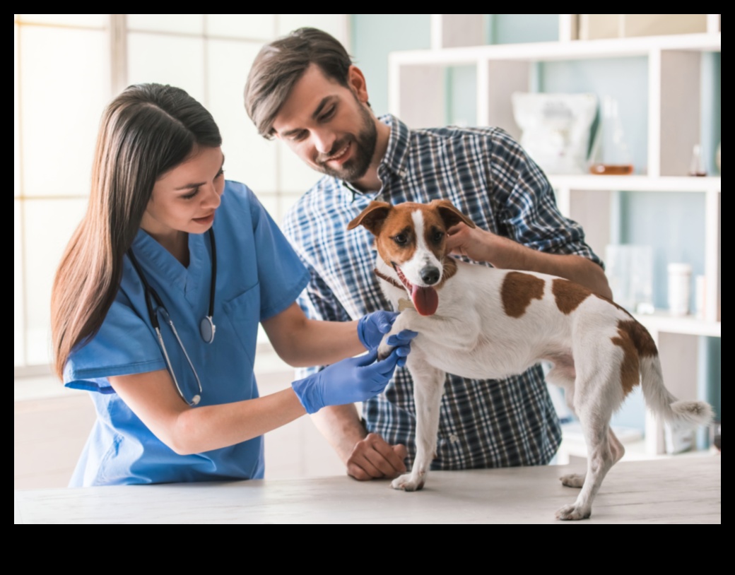 الثنائي الديناميكي: فهم ورعاية روابطك مع كلبك