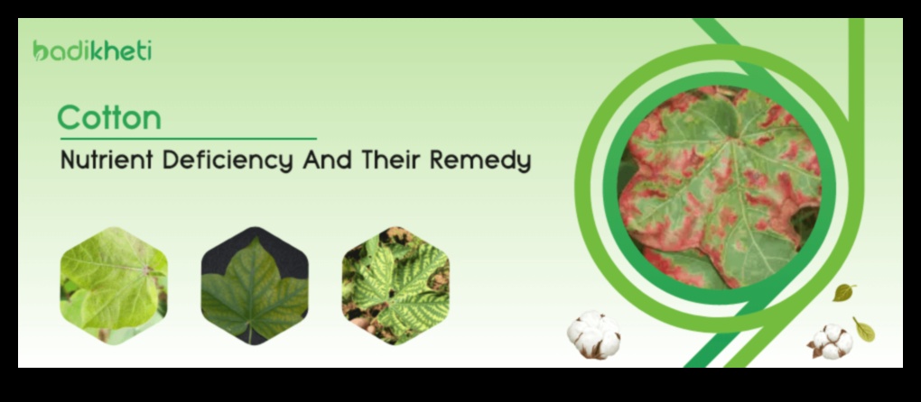 استنزاف المغذيات: العلامات والمصادر والحلول