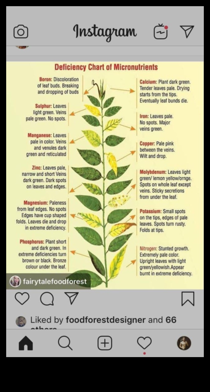 استنزاف المغذيات: العلامات والمصادر والحلول
