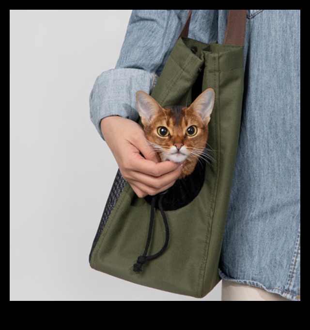 إكسسوارات أنيقة للجيب للحيوانات الأليفة لأصدقائك ذوي الفراء 4 Pocket Pet Panache: إكسسوارات أنيقة للأصدقاء الصغار ذوي الفراء