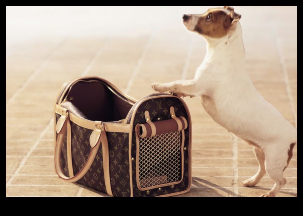 إكسسوارات جيب الحيوانات الأليفة الأنيقة لأصدقائك ذوي الفراء 2 Pocket Pet Panache: إكسسوارات أنيقة للأصدقاء الصغار ذوي الفراء