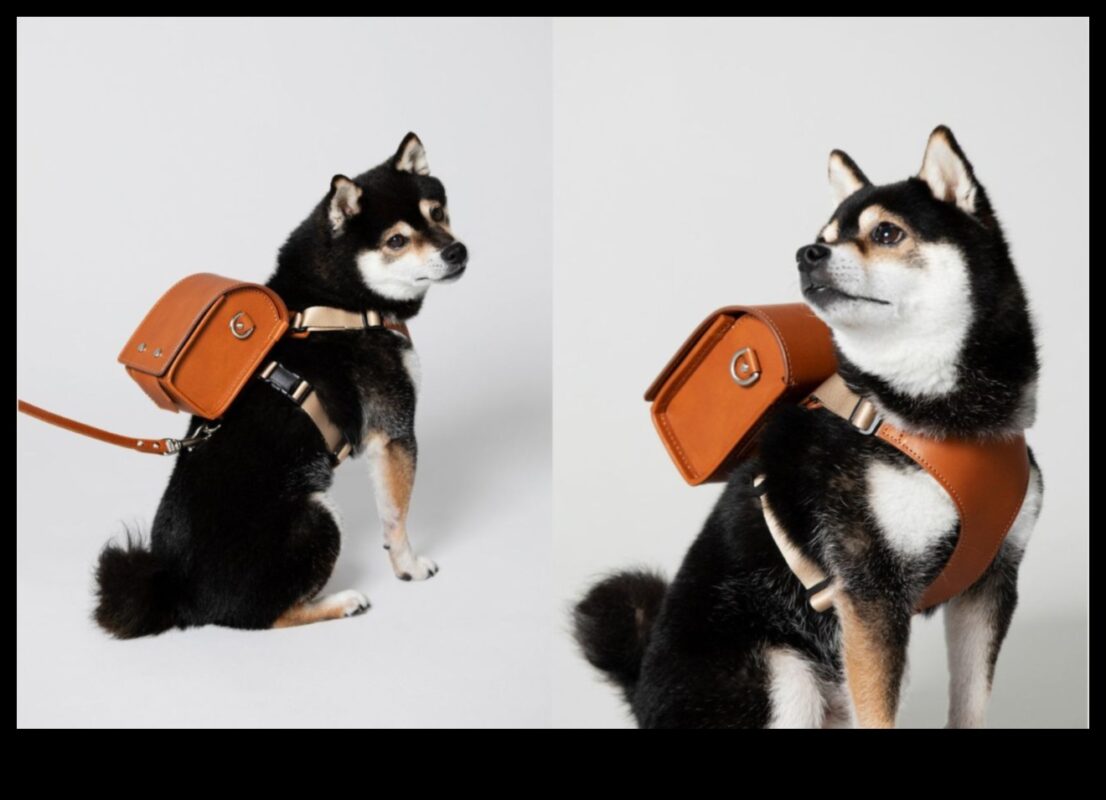 Pocket Pet Panache: إكسسوارات أنيقة للأصدقاء الصغار ذوي الفراء