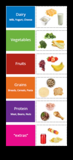 العافية المغذية كيفية تناول الطعام من أجل حياة صحية وسعيدة 3 العافية المغذية: دور العناصر الغذائية في حياة صحية