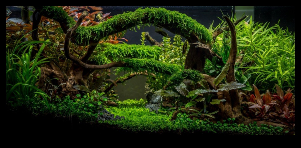 رحلة الخزان الاستوائية: إنشاء مغامرة الغابة في حوض السمك