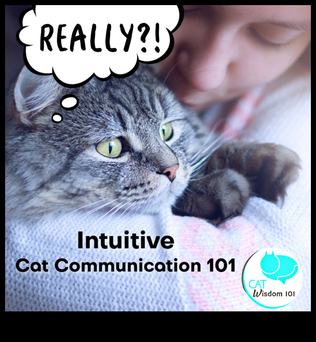 تابع حكمة الشارب: مزيد من الأفكار حول سلوك القطط