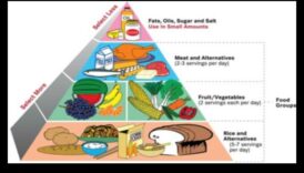 مخطط المغذيات الدقيقة: صياغة نمط حياة متوازن