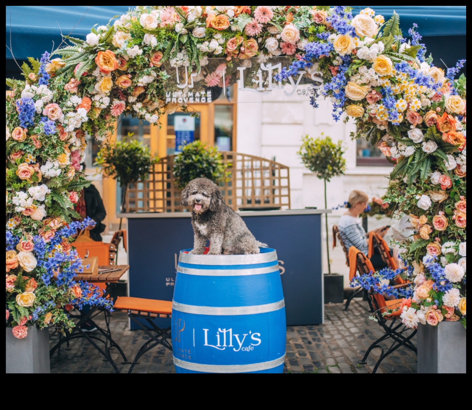 تناول الطعام بشكل هزلي، خلق تجربة تناول طعام مناسبة للكلاب 2 تناول الطعام بشكل هزلي: إنشاء تجربة تناول طعام مناسبة للكلاب