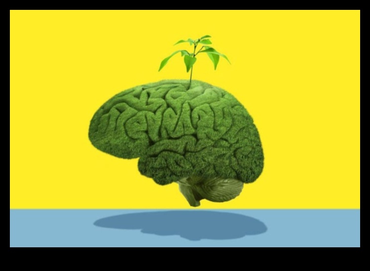 الترفيه الصديق للبيئة ظهور منتجات الفيديو الموفرة للطاقة 3 الترفيه الصديق للبيئة: ظهور منتجات الفيديو الموفرة للطاقة