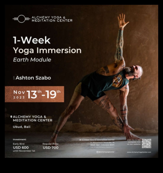 أسانا الكيمياء التحويلية اليوغا التأمل للعقل والجسم والروح 4 أسانا الكيمياء: التأمل اليوغا التحويلية