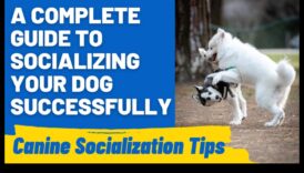 برهان لآداب هزلي للتنقل على التفاعلات الاجتماعية 4 دليل إلى آداب هزلي: التنقل في التفاعلات الاجتماعية