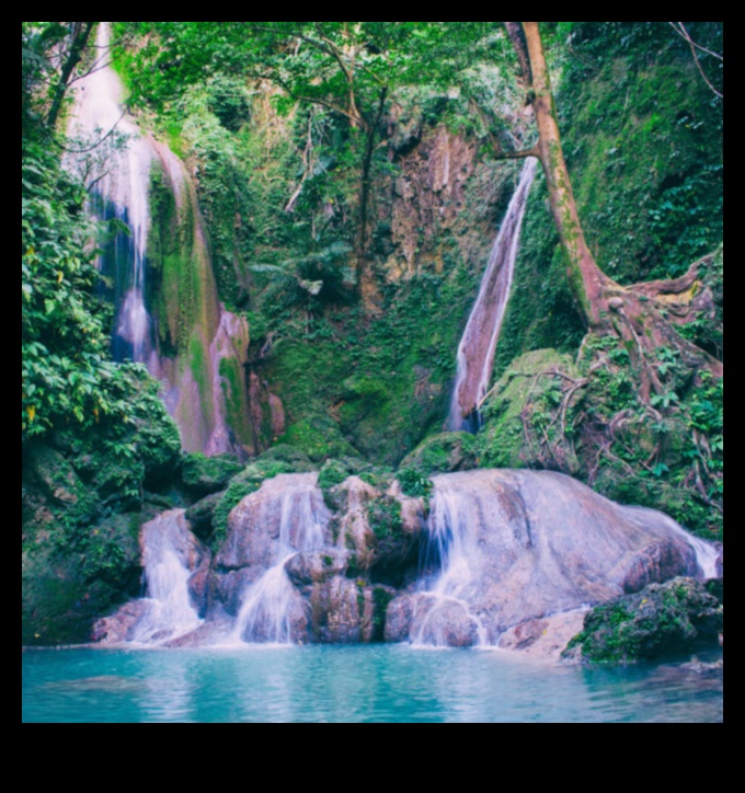 نغمات المد والجزر: إنشاء قوائم تشغيل للاسترخاء بجانب الماء