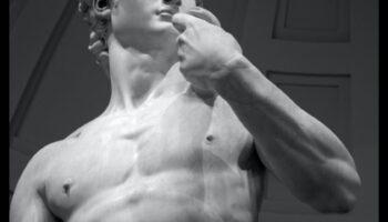 الصفاء المنحوت: الجمال الخالد للشخصيات الفنية في عصر النهضة