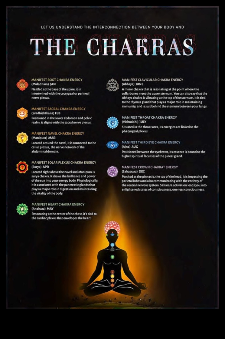 الانسجام المستيقظ جوهر تأمل الشاكرا اكتشف قوة الشاكرات وكيفية تحقيق التوازن بينها من أجل حياة أكثر سلامًا وإشباعًا. 4 الانسجام المستيقظ: جوهر التأمل شقرا