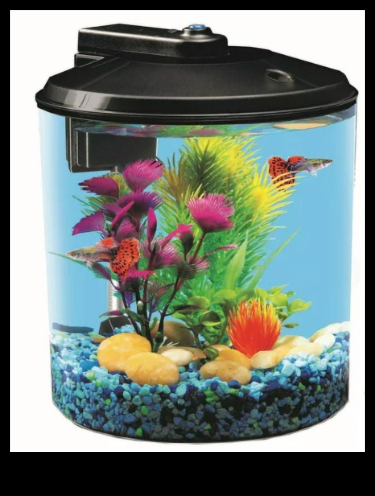 تابع الزينة المائية: تعزيز جمالية حوض السمك الخاص بك