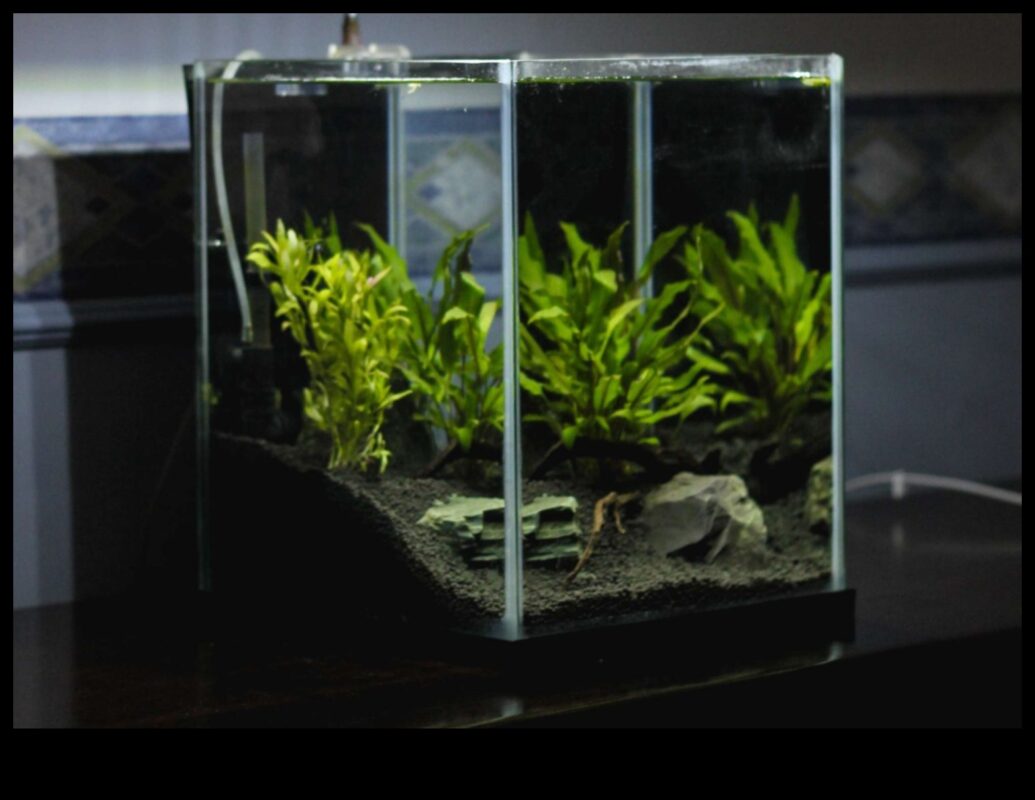 تابع الزينة المائية: تعزيز جمالية حوض السمك الخاص بك