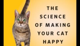 استمرار المساحات المخصصة للخرخرة: تصميم منزلك ليناسب راحة قطتك