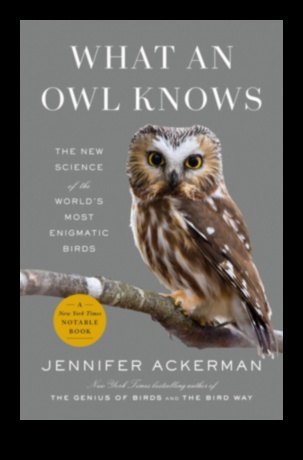 البوم الليلي: الحياة الغامضة للطيور الليلية