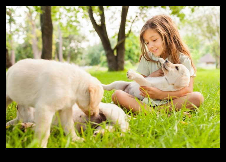 أساسيات مجموعة لعب الجراء: التواصل الاجتماعي مع الجرو الخاص بك مع الكلاب الأخرى