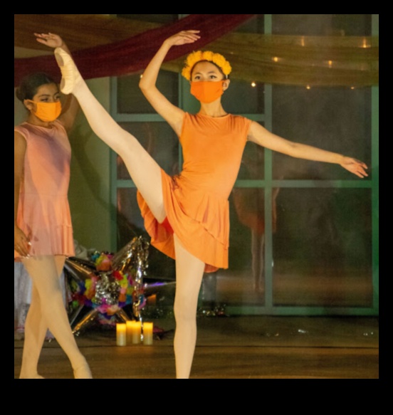 الباليه البيوكيميائي رقصة المغذيات من أجل الصحة المثلى 1 الباليه البيوكيميائي: رقصة المغذيات من أجل الصحة المثلى