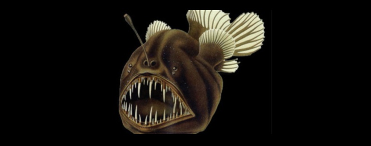 الطعم والتبديل: تكتيكات صعبة في عالم الصيد