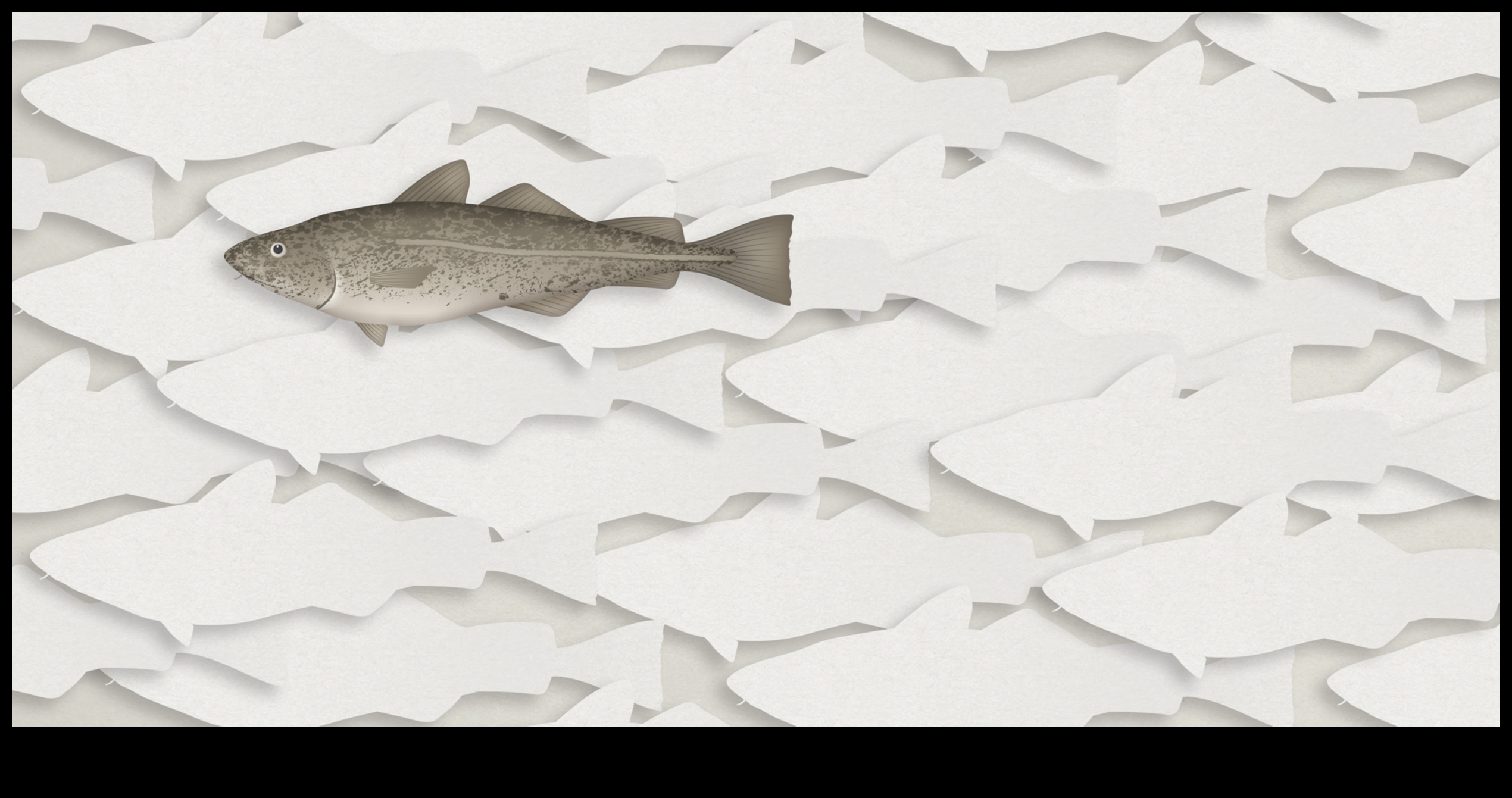 علم صيد الأسماك كيف تساهم الأسماك في النظم البيئية 1 علم صيد الأسماك 101: كيف تساهم الأسماك في النظم البيئية